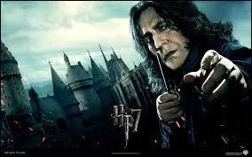 Quel surnom Severus a-t-il employé pour montrer son amour pour les potions ?