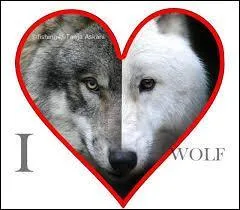 En 1989, Philippe Lafontaine connut un gros succès avec son tube...