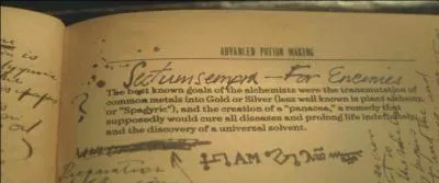 Enfin, dans "Harry Potter et les Reliques de la Mort" (Partie I) et "Harry Potter et les Reliques de la Mort" (Partie II), Severus Rogue remplit jusqu'au bout son rôle d'agent double. Quelle information n'apprend-on pas dans les mémoires visionnées par Harry Potter dans la Pensine ?