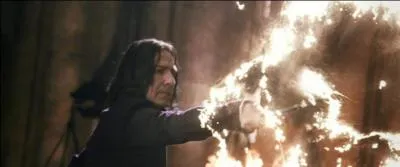 Severus Rogue entre à l'école de magie de Poudlard à sa onzième année, soit en 1971. Placé dans la maison Serpentard, il ne s'entend pas du tout avec le clan des Maraudeurs. Vers quelle matière montre-t-il des dispositions dès son entrée à Poudlard ?