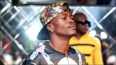 En quelle année débute-t-il sa carrière de musicien ?