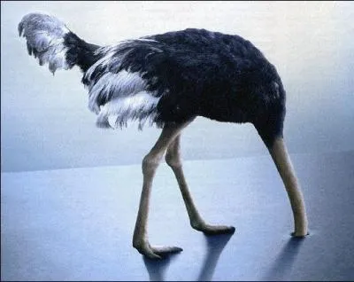 C'est une politique particulière.