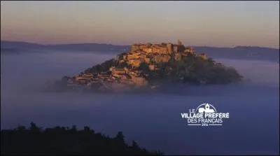 Dans quel département se situe le village médiéval de Cordes-sur-Ciel, dont la préfecture est Albi ?