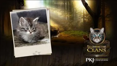 Quel est le nom du clan ou de la tribu qu'ils rencontrent ?