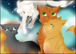 De qui Cur de Feu rêve-t-il tout le temps ?