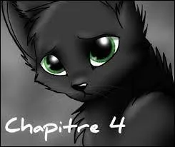 Que devient Museau Cendré après son accident ?