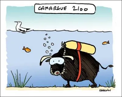 La Camargue est r&eacute;guli&egrave;rement inond&eacute;e ...