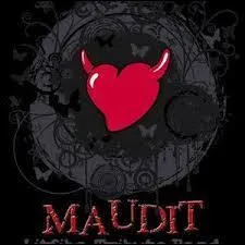 Quel adjectif n'est pas un synonyme de "maudit" ?