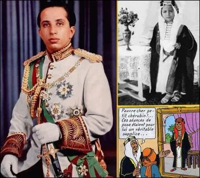 Assassiné avec toute sa famille en 1958 , le dessinateur Hergé s'est inspiré de ce roi pour dessiner Abdallah, fils de l'Emir du Khemed dans l'album «  Tintin au pays de l'or noir » et « Coke en stock »...