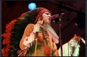 Qui nous murmure doucement au début des années 70 Je suis un gars bien ordinaire ?