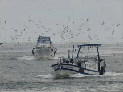 Ce chalutier immatriculé "MT" pourrait dire : « Vos gueules les mouettes ! ». D'où vient-il ?