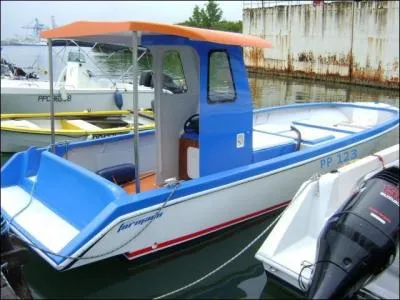 Les navires immatriculés "PP" viennent de Pointe-à-Pitre, Gouadeloupe. Mais le nom de ce port, lui, d'où vient-il ?