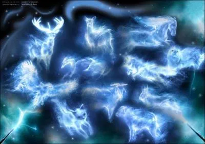 Quel animal est son patronus ?