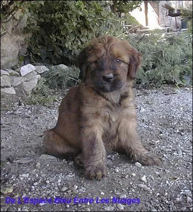 Et enfin, quel est celui-ci ?