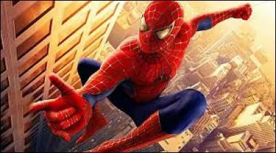 Quel est le nom de ce film ?