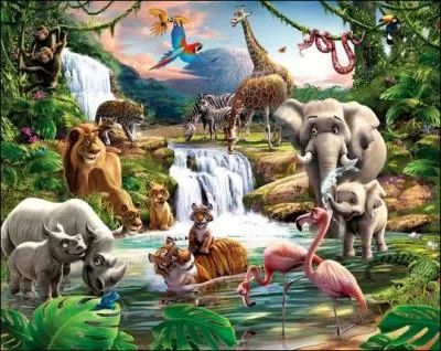 Quel animal n'est pas sur l'image ?