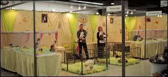 Où et quand le tout premier salon du chat a-t-il été organisé ?