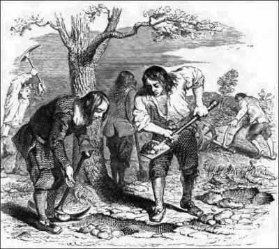 Pour revenir un peu aux sources, comment La Fontaine disait-il déjà dans "Le laboureur et ses enfants" ?