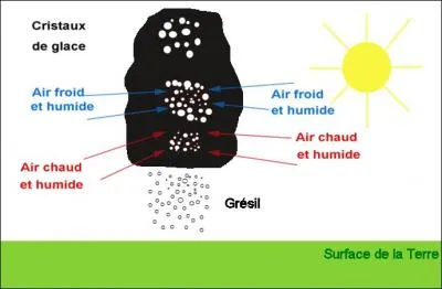 Il y a un pays où l'on ne rigole pas quant/d au/on travail/le : "Tirar o sangue de alguém", soit "tirer le sang de quelqu'un". Où donc ?