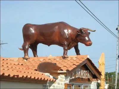 "Wie ein Ochse schuften (arbeiten)" (Autriche) a un rapport avec un animal, lequel ?