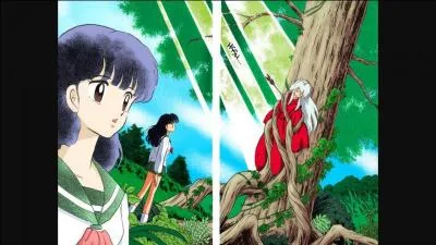 Inu-Yasha a été cloué à un arbre il y a 50 ans, mais par qui ?