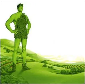 Que produit la marque d'agro-alimentaire "Géant Vert" ?