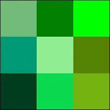 Comment dit-on le mot "vert" en espagnol ?