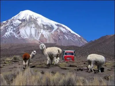 Quelle est la capitale de la Bolivie ?