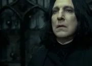 Quiz Hommage  Severus Rogue