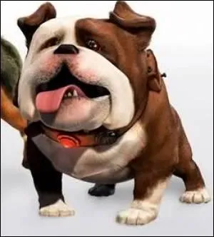 Dans "Là-Haut", comment s'appelle le chien marron et blanc ?