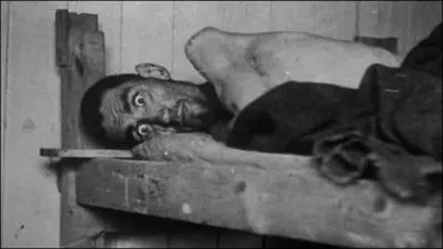 La célèbre chanson Nuit et Brouillard interprétée par Jean Ferrat nous parle des plus horribles prisons que le 20e siècle a érigées. Des années plus tard, que regrette Jean Ferrat dans une lettre ouverte ?