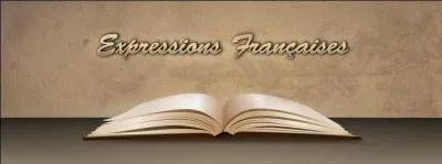 Que signifie l'expression suivante : &laquo; Cent heures de chagrin ne payent pas un sou de dettes &raquo; ?