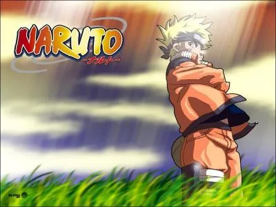 Quelle est la technique que Naruto matrise le mieux maintenant ?