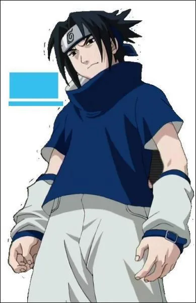 Qui est amoureuse de Sasuke ?