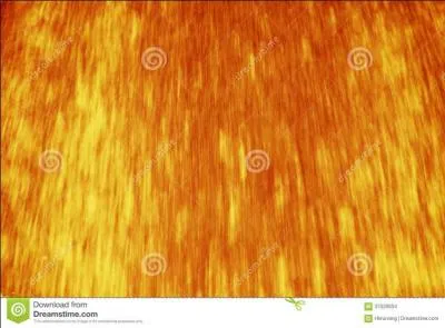 Son pelage est de couleur :