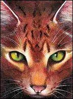 Quels ont été ses lieutenants ? (Dans l'ordre)