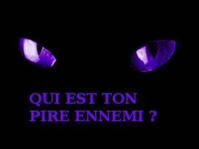 Quel est le premier chat tué par Étoile de Feu ?