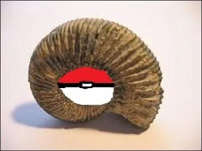 Sélectionnez la fausse étape pour récupérer un Pokémon fossile.