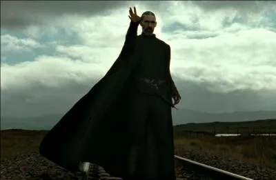 Selwyn. Mangemort mystérieux, le rôle de Selwyn dans la Première Guerre des Sorciers n'est pas connu. Plus actif lors de la Seconde Guerre des Sorciers, chez quelle personne se rend-il en urgence avec d'autres Mangemorts dans "Harry Potter et les Reliques de la Mort" (Partie I) ?