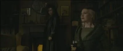 Bellatrix Lestrange. Mangemorte secrètement amoureux de Lord Voldemort, ses faits d'armes feraient frémir tous ses ennemis. Elle a notamment tué son cousin Sirius Black et torturé Hermione Granger lors de la Bataille du Manoir des Malefoy. Lors de la Bataille de Poudlard, elle est coupable du meurtre de Nymphadora Tonks. Quel lien de parenté unit les deux personnages ?