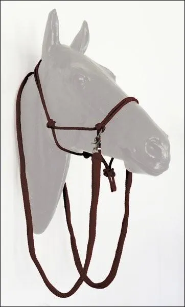 Avec quoi diriges-tu ton cheval ?