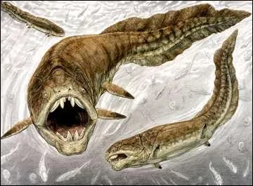 Durant le Dévonien moyen, quels changements a-t-il eu lieu dans la faune sous-marine ?