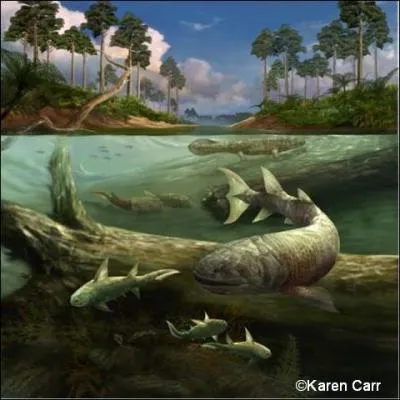 Comment appelle-t-on la période du Dévonien ?