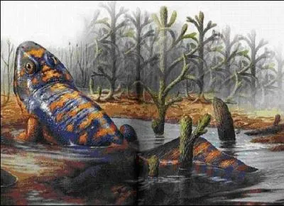 A cette période d'évolution, les tétrapodes pouvaient :