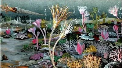 Les récifs coraux disparurent complètement.