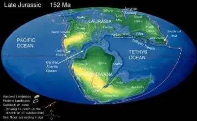 Combien y avait-il de "supercontinents" ?