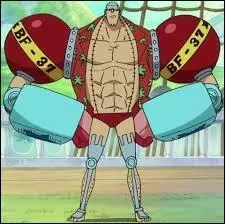 Quel est le rôle de Franky dans l'équipage ?