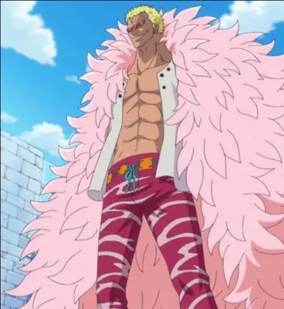 Qui veut tuer Doflamingo ?