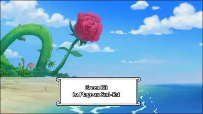 Qui va arriver sur l'île de Green Bit en plus d'une partie de l'équipage de Mugiwara ?