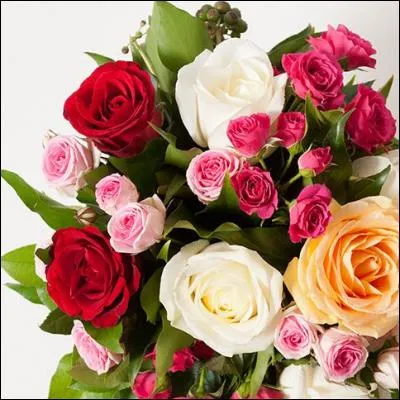 Quelle est la fleur préférée de la plupart des filles ?